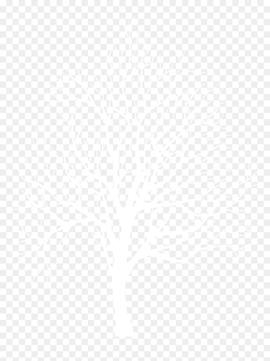 Detail White Tree Png Nomer 26