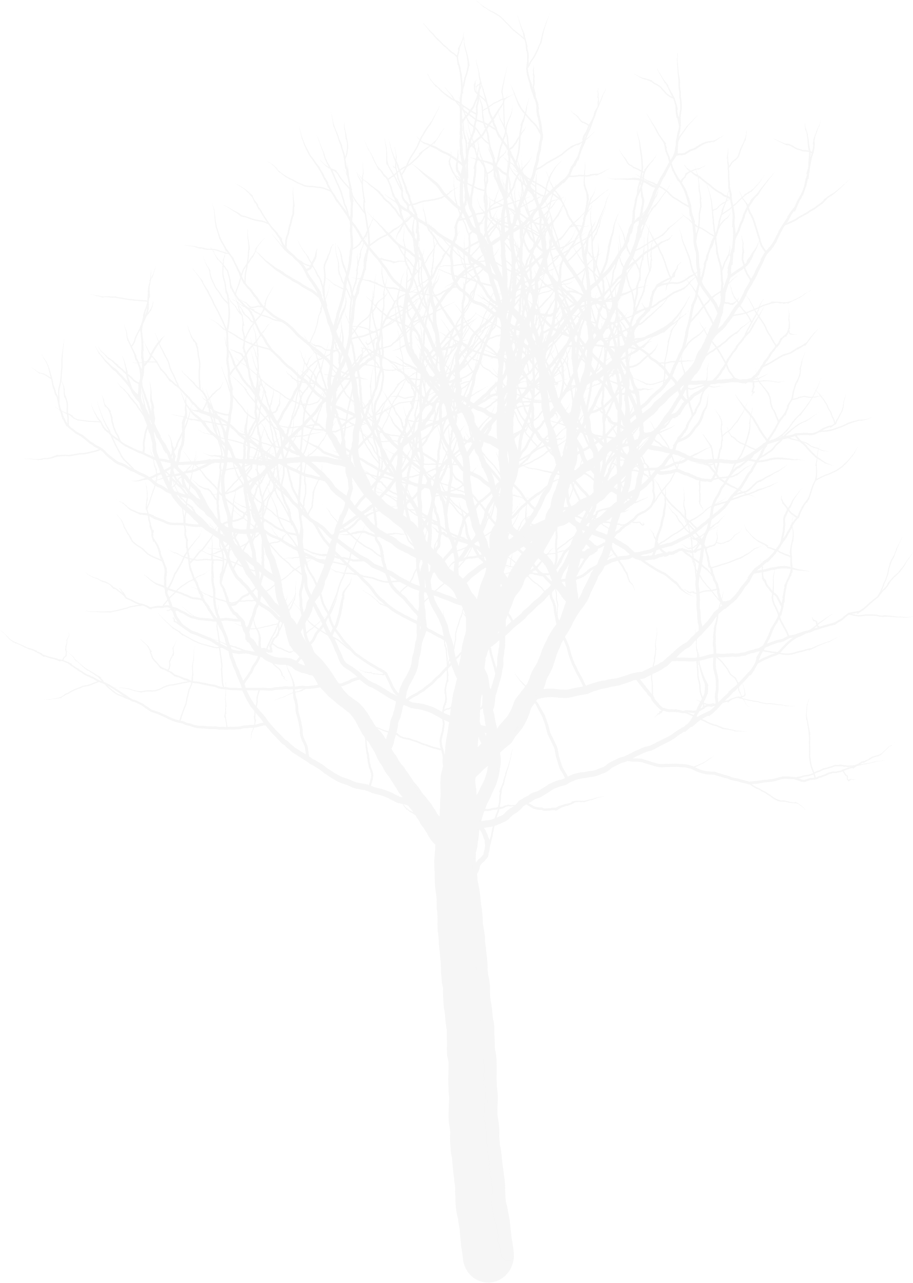 Detail White Tree Png Nomer 6