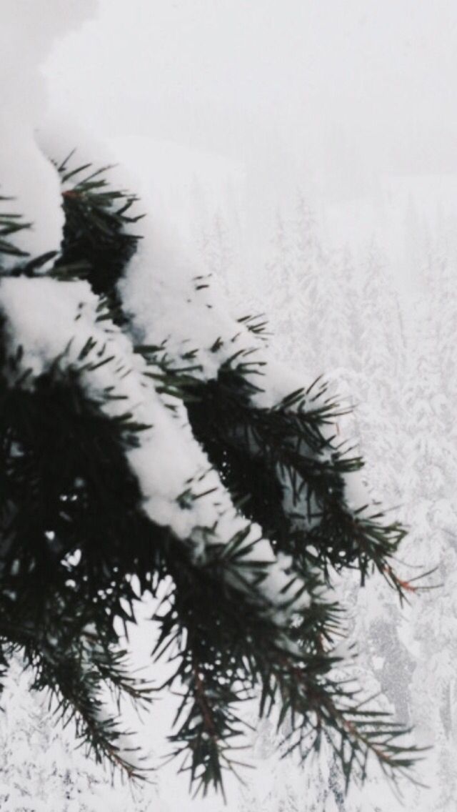 Detail White Tumblr Wallpaper Nomer 35