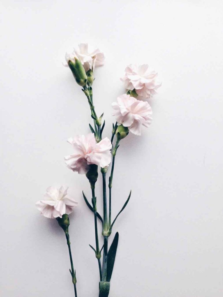 Detail White Tumblr Wallpaper Nomer 48