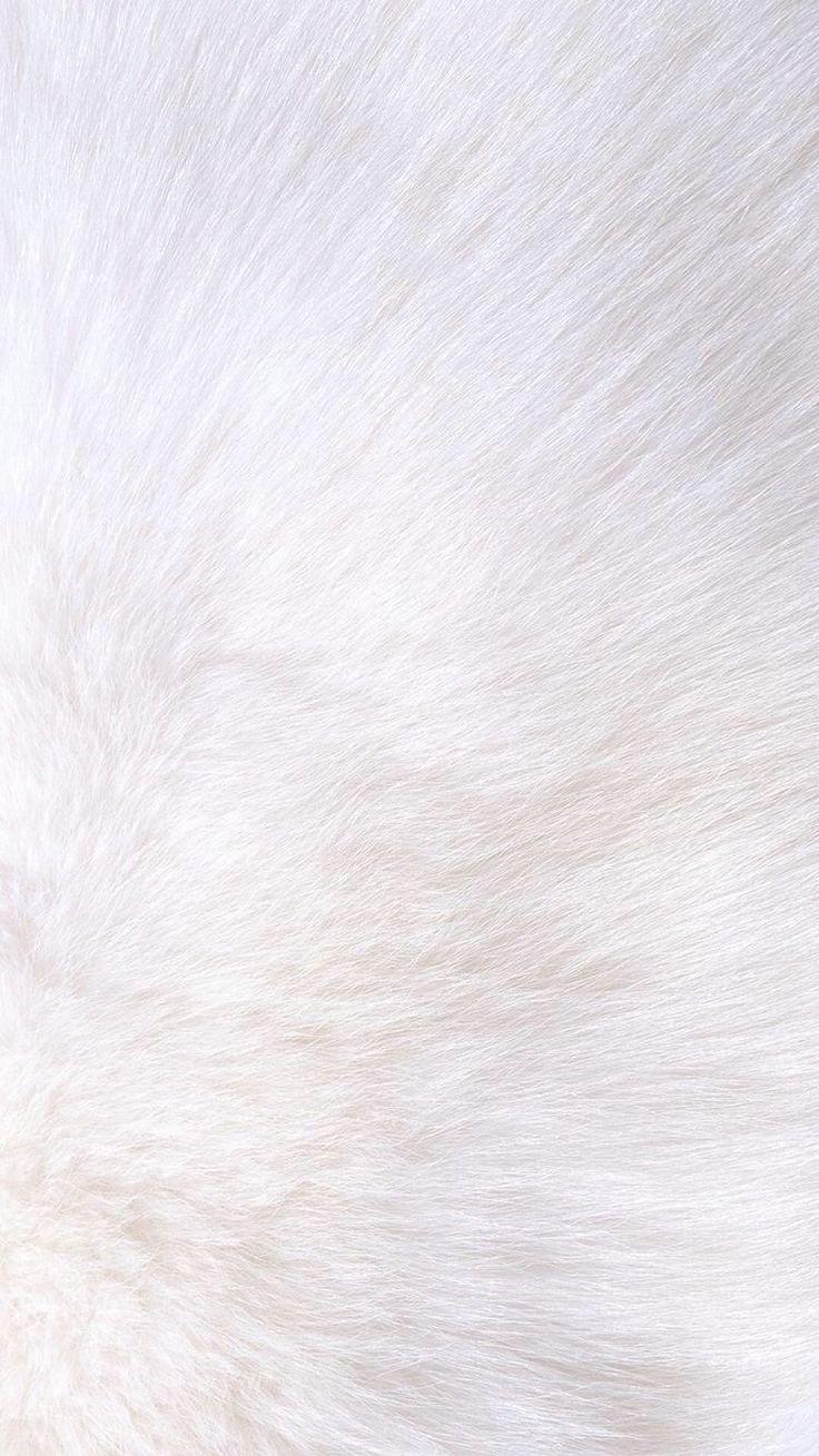 Detail White Tumblr Wallpaper Nomer 53