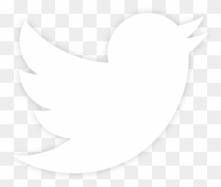 Detail White Twitter Logo Png Nomer 22