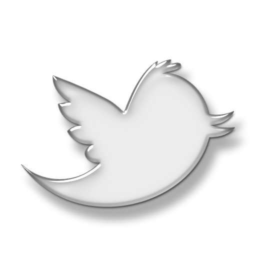 Detail White Twitter Logo Png Nomer 42