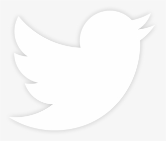 Detail White Twitter Logo Png Nomer 8