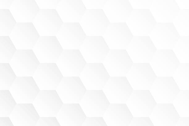 Detail White Vector Background Hd Nomer 29