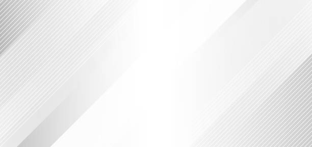 Detail White Vector Background Hd Nomer 41
