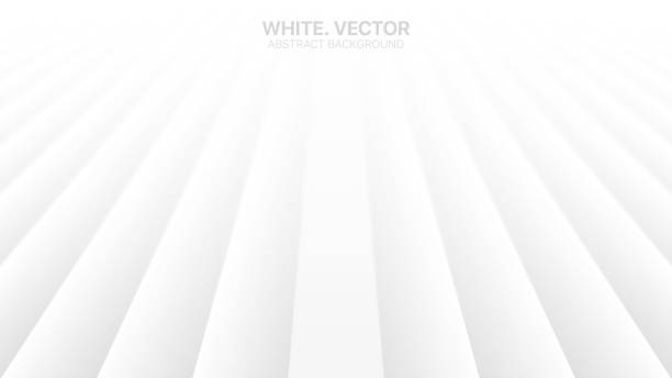 Detail White Vector Background Hd Nomer 42