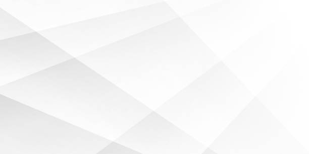 Detail White Vector Background Hd Nomer 7