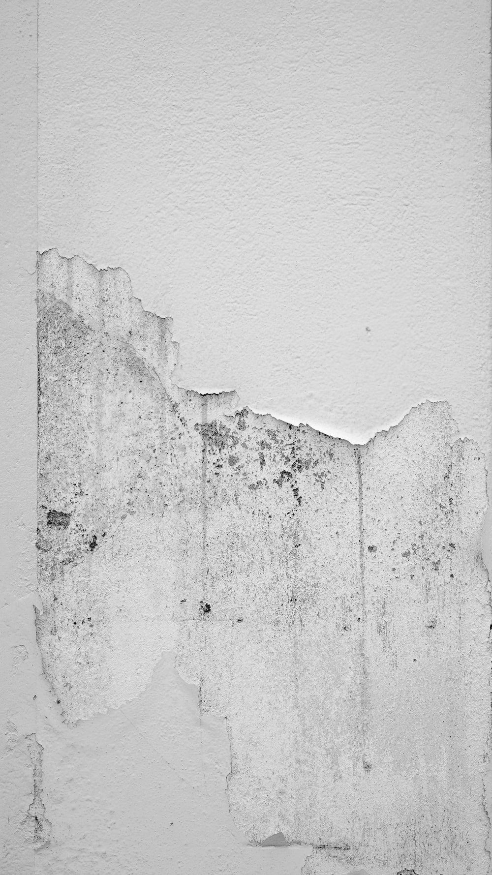 Detail White Wall Hd Nomer 37