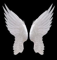 Detail White Wings Angel Nomer 2