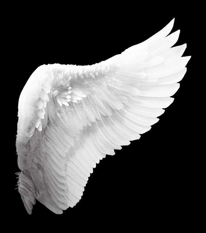 Detail White Wings Angel Nomer 11