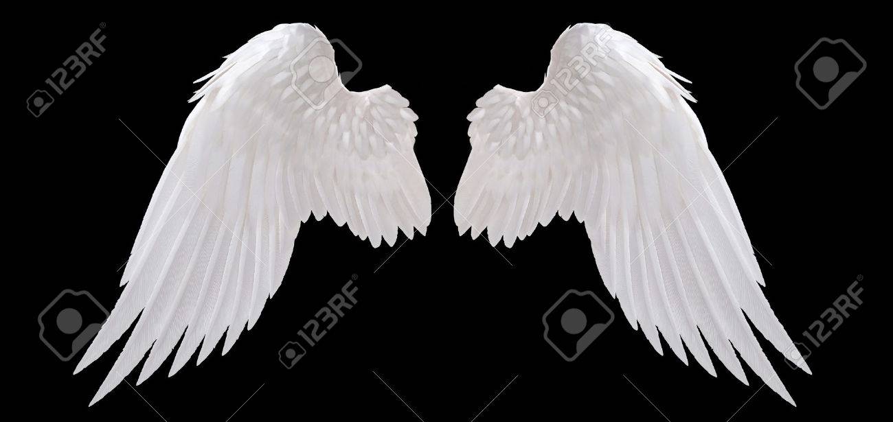 Detail White Wings Angel Nomer 4