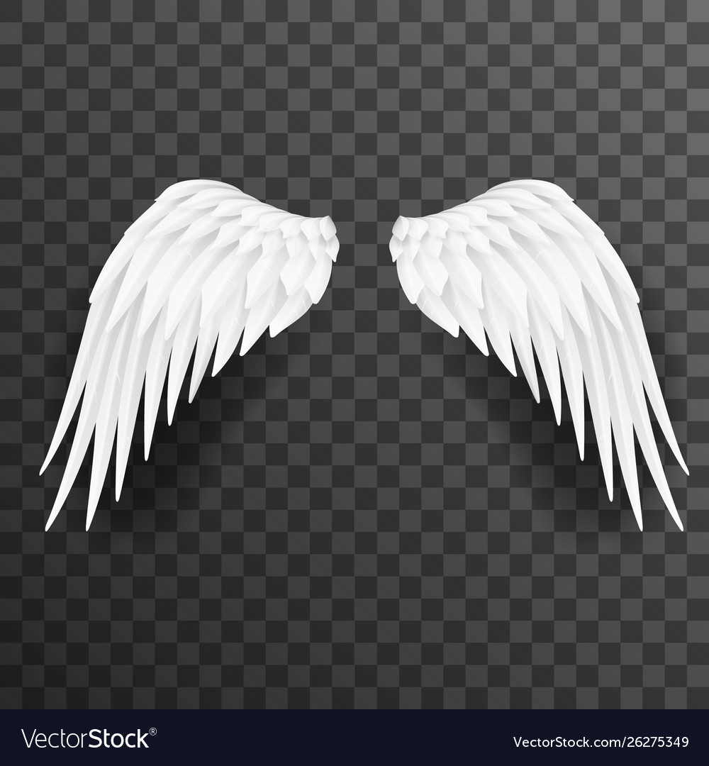 Detail White Wings Angel Nomer 5