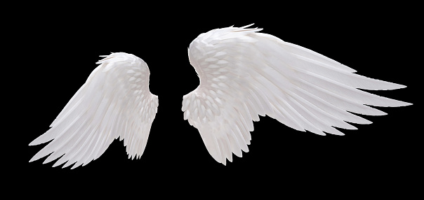 Detail White Wings Angel Nomer 54