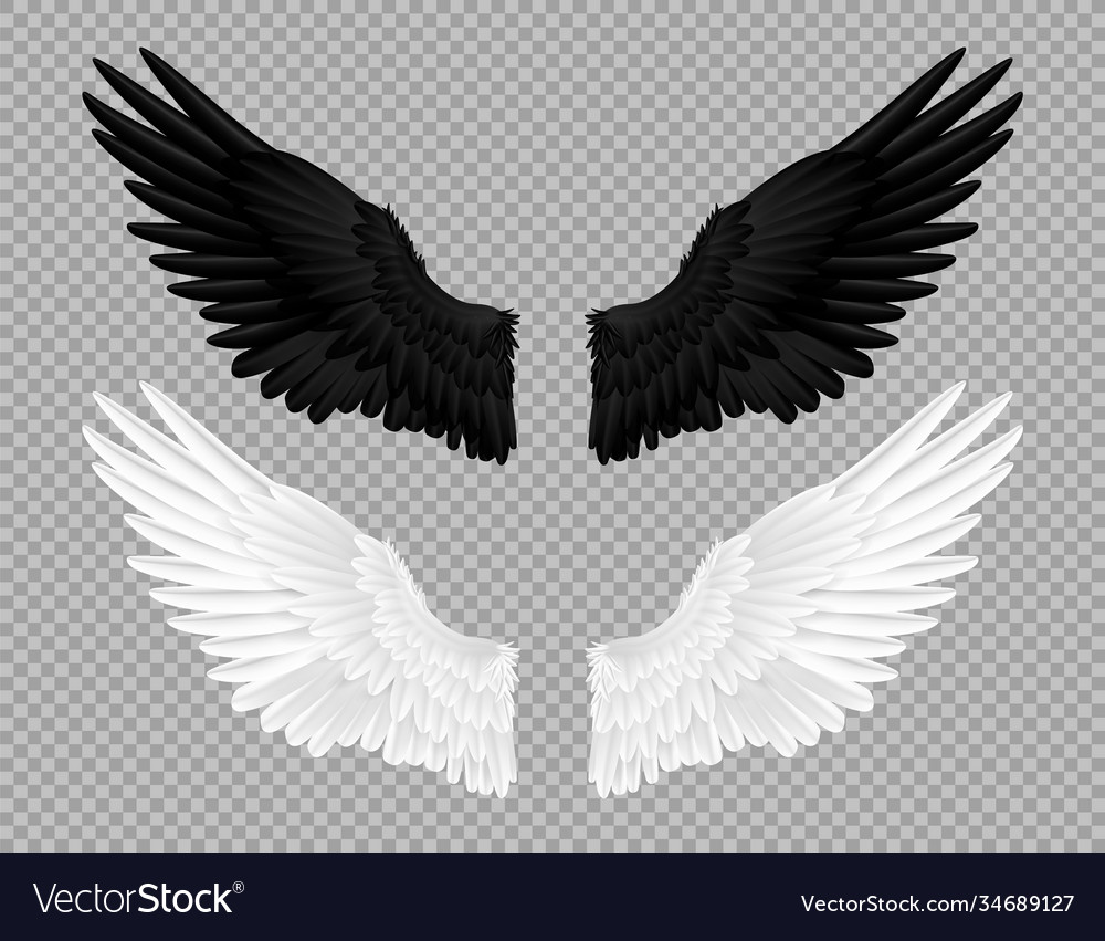 Detail White Wings Angel Nomer 10