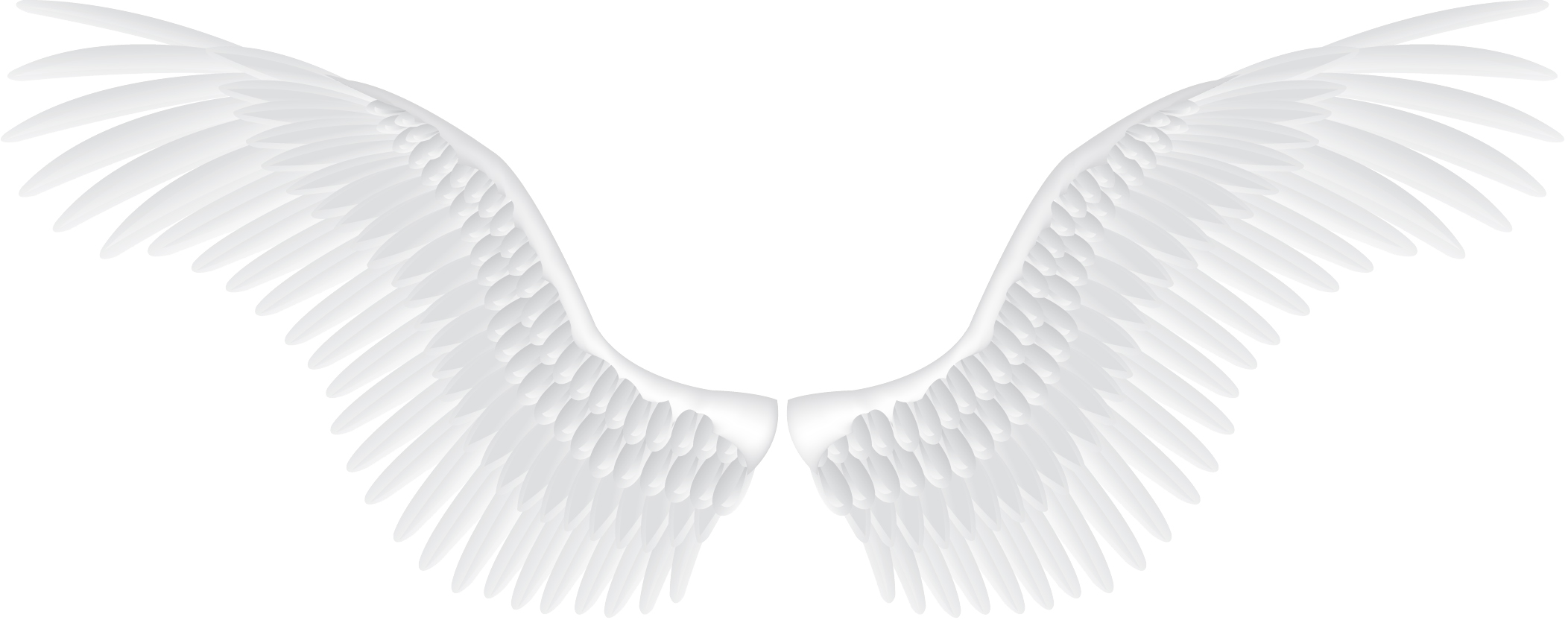 Detail White Wings Png Nomer 2