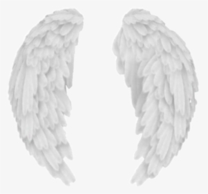 Detail White Wings Png Nomer 18