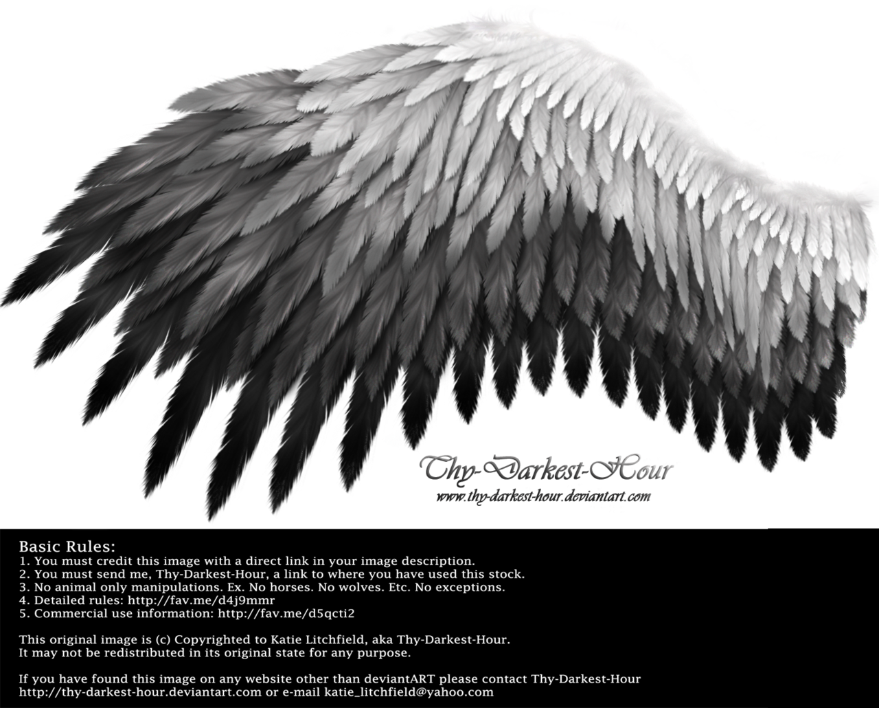 Detail White Wings Png Nomer 28