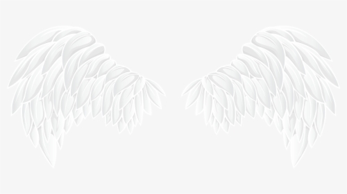 White Wings Transparent - KibrisPDR