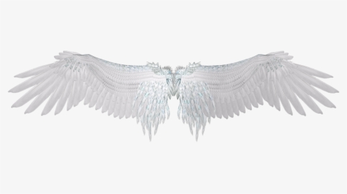 Detail White Wings Transparent Nomer 27