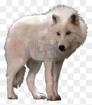 Detail White Wolf Transparent Nomer 12