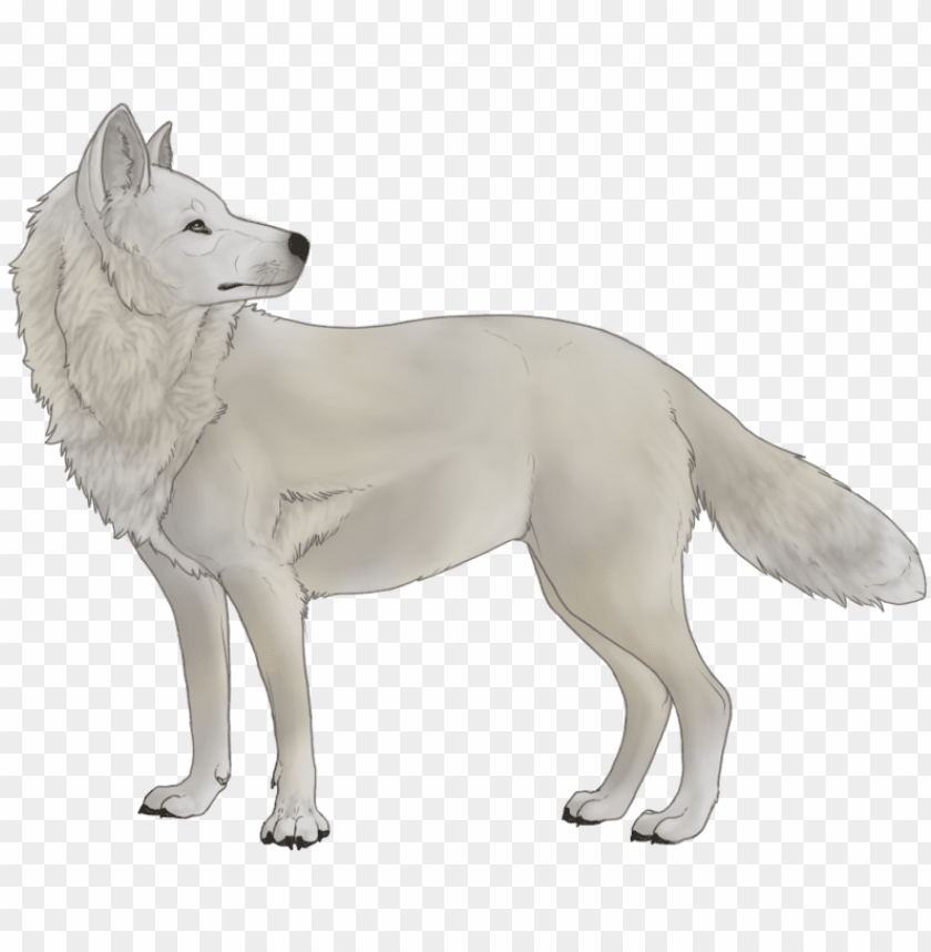 Detail White Wolf Transparent Nomer 13