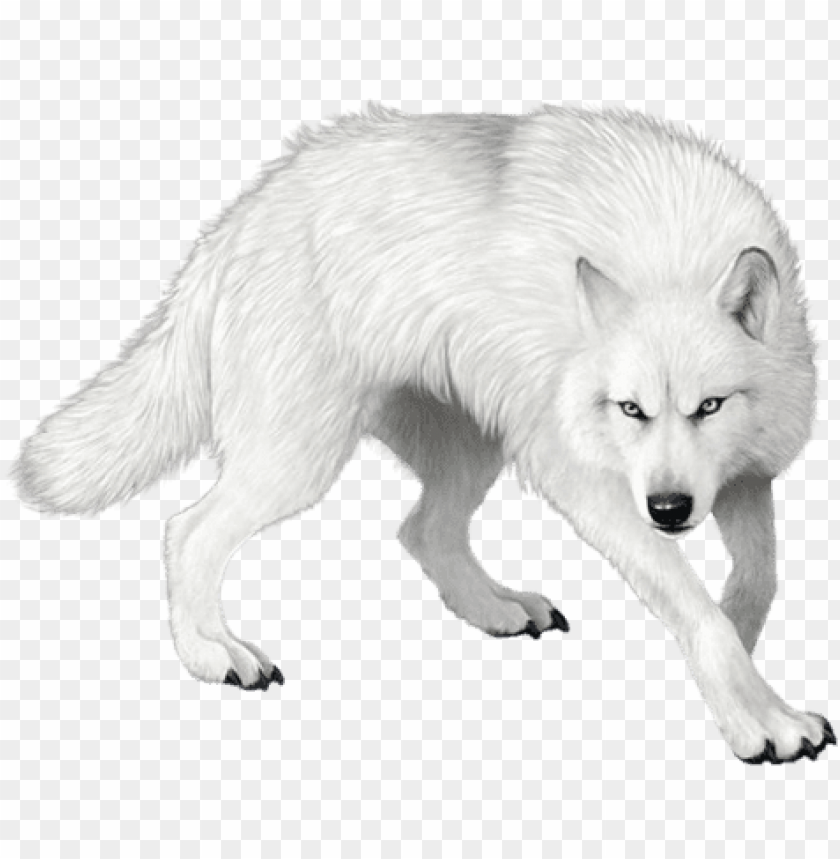 Detail White Wolf Transparent Nomer 24