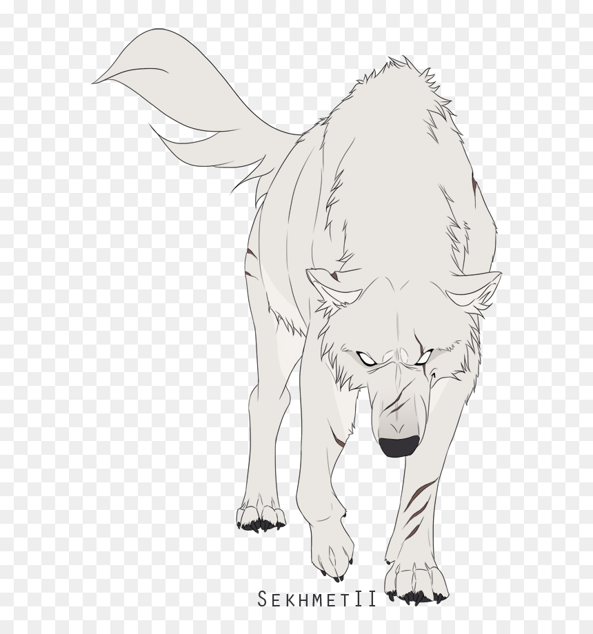 Detail White Wolf Transparent Nomer 29