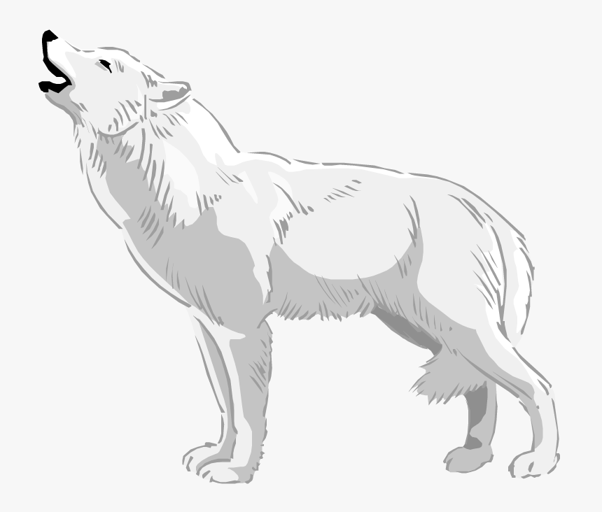 Detail White Wolf Transparent Nomer 44