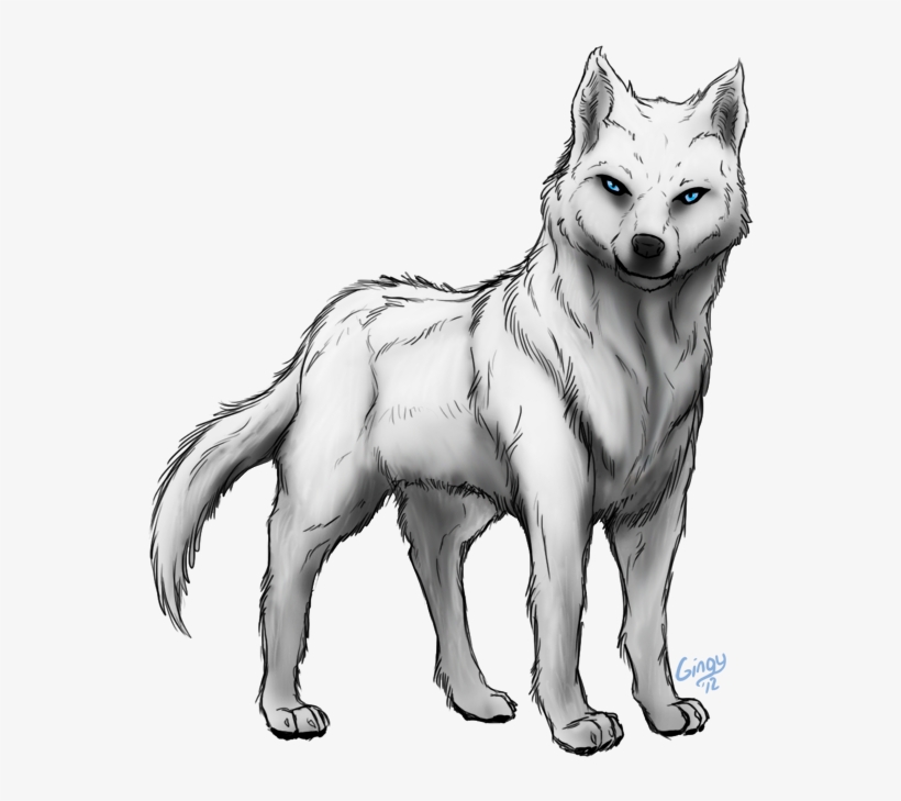 Detail White Wolf Transparent Nomer 47