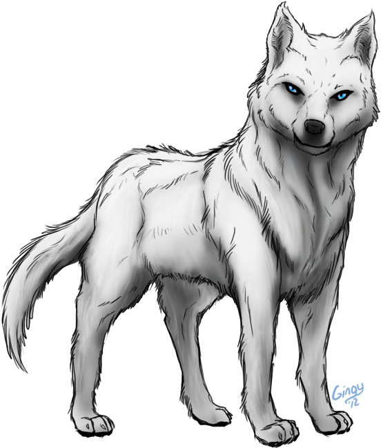 Detail White Wolf Transparent Nomer 53