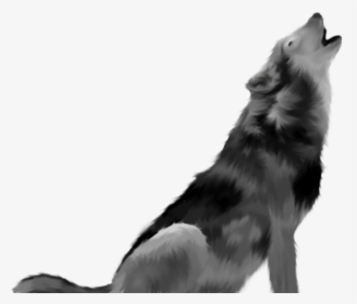 Detail White Wolf Transparent Nomer 54