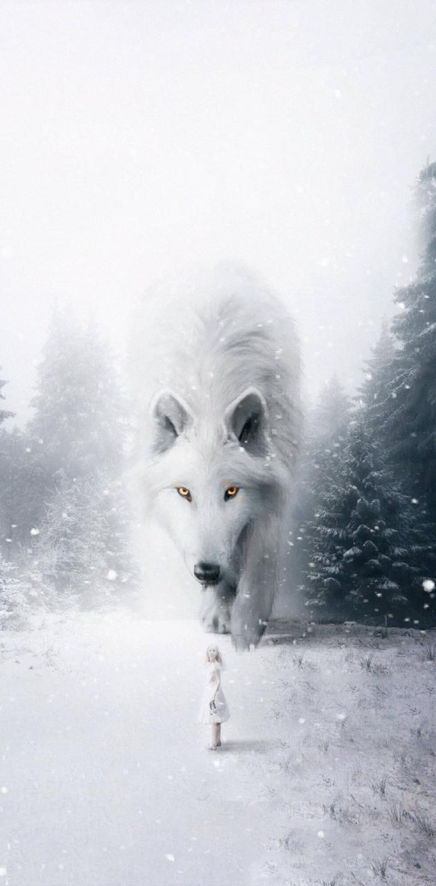 Detail White Wolf Wallpaper Nomer 21