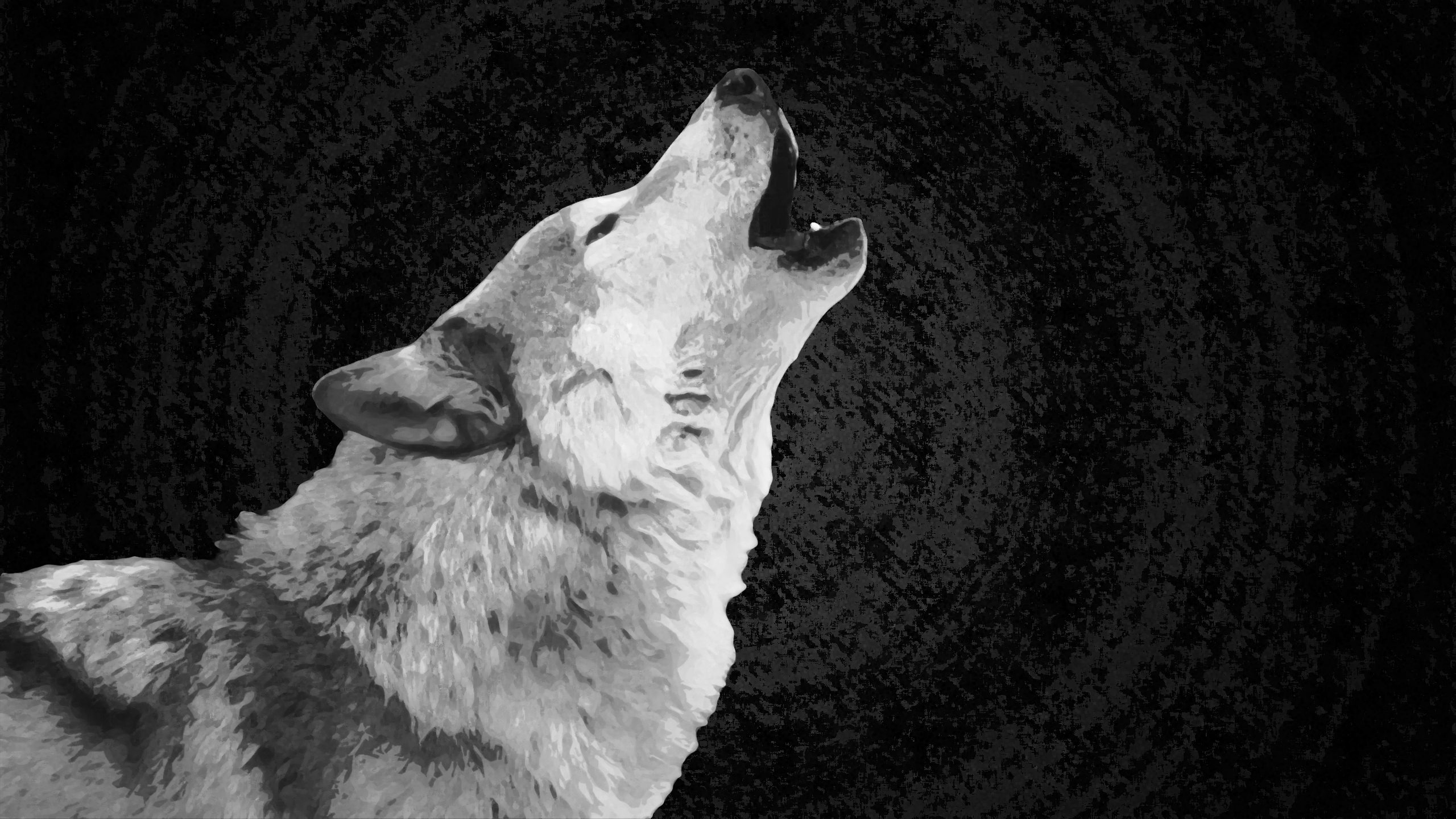 Detail White Wolf Wallpaper Nomer 53