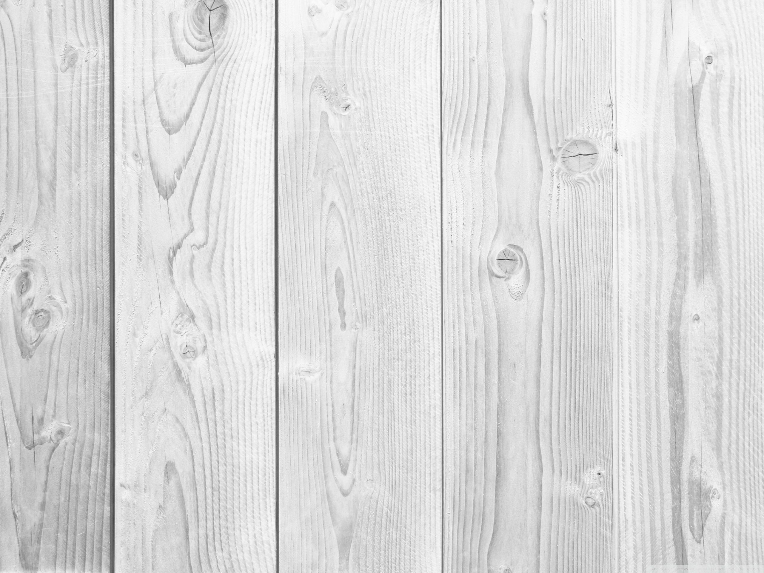 Detail White Wood Background Nomer 56