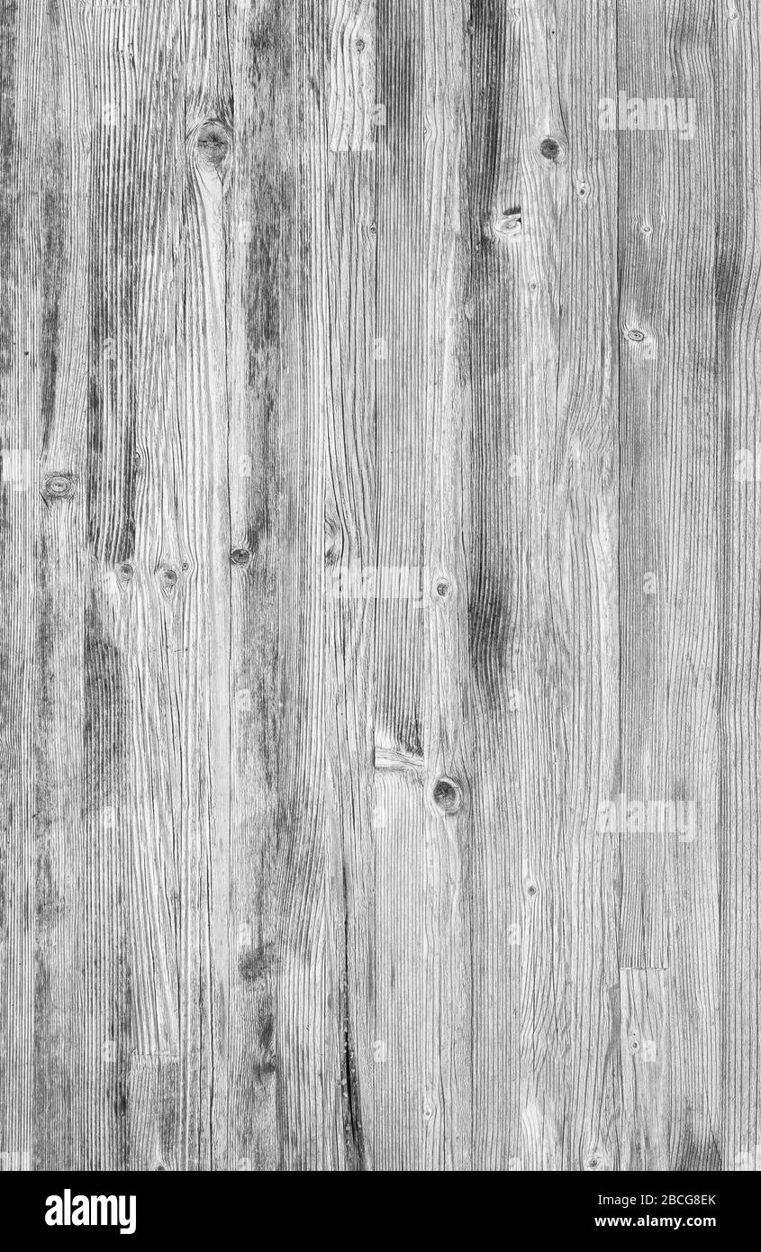 Detail White Wood Texture Background Nomer 37