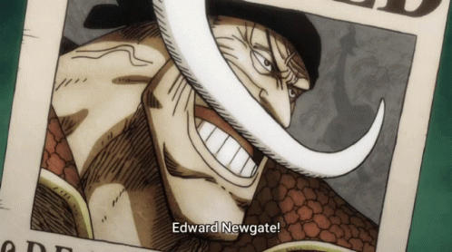 Detail Whitebeard Bounty Nomer 25