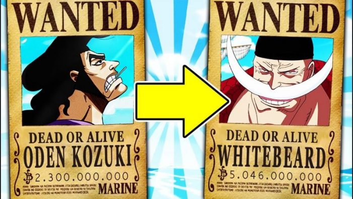 Detail Whitebeard Bounty Nomer 26