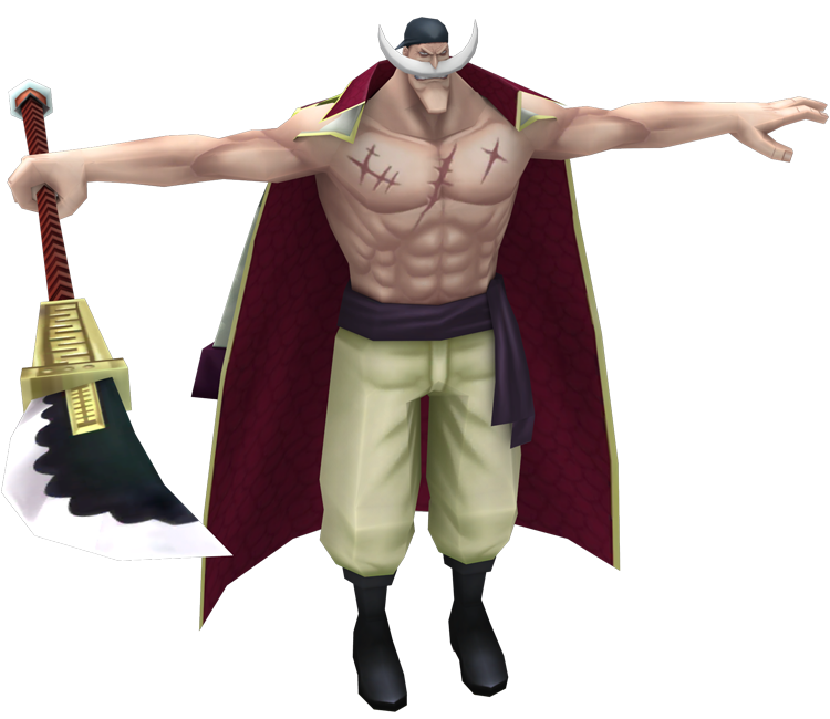 Detail Whitebeard Bounty Nomer 33