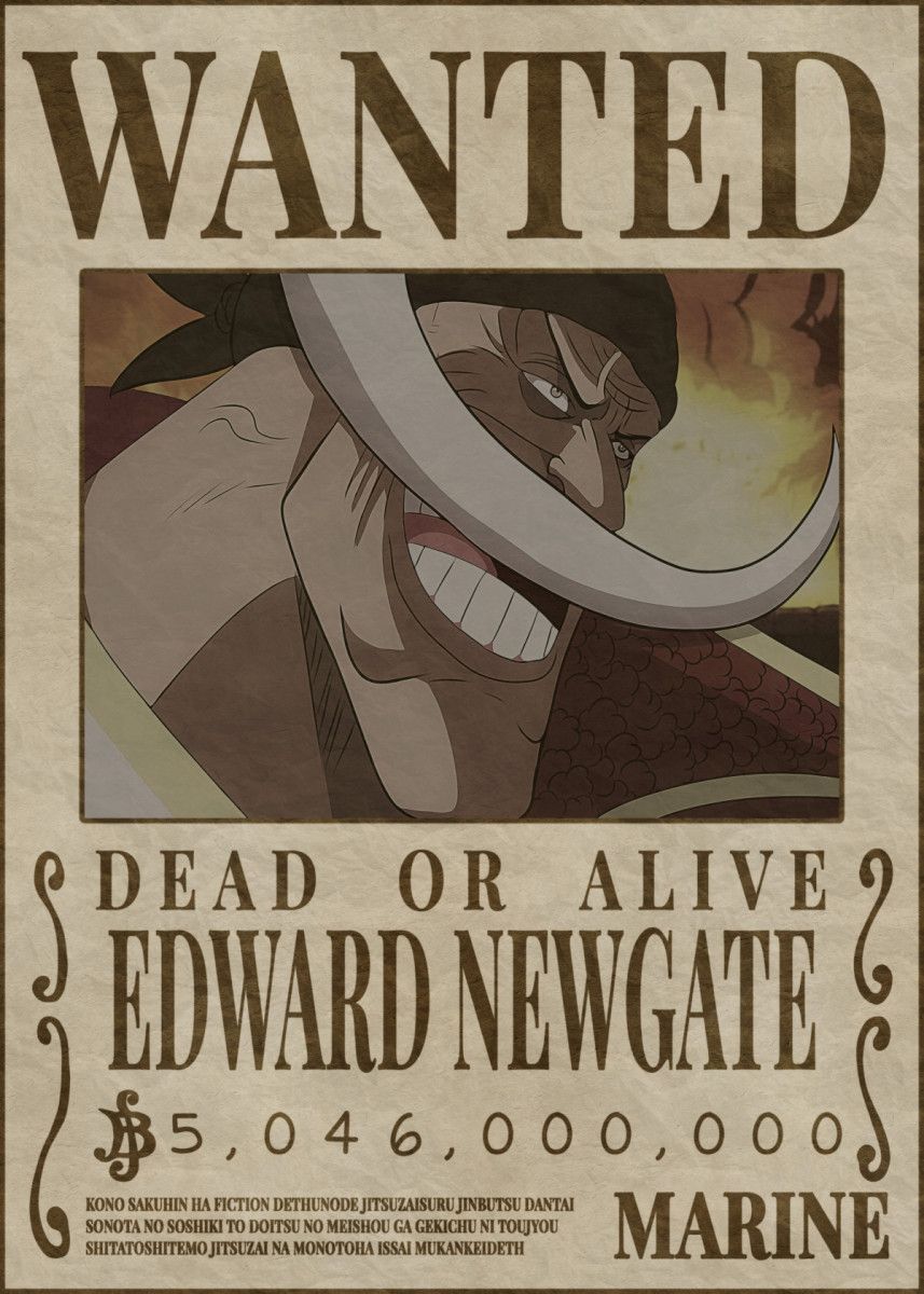 Detail Whitebeard Bounty Nomer 5