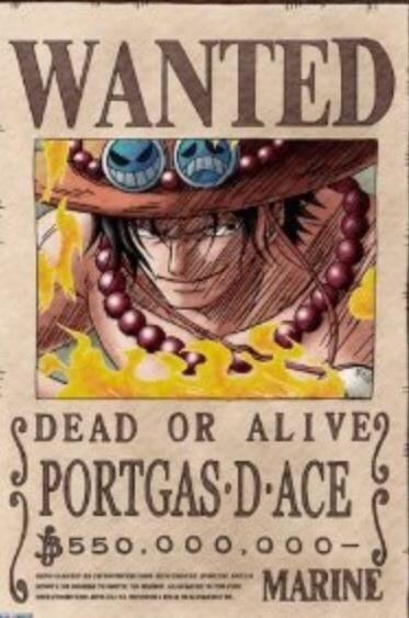 Detail Whitebeard Bounty Nomer 47