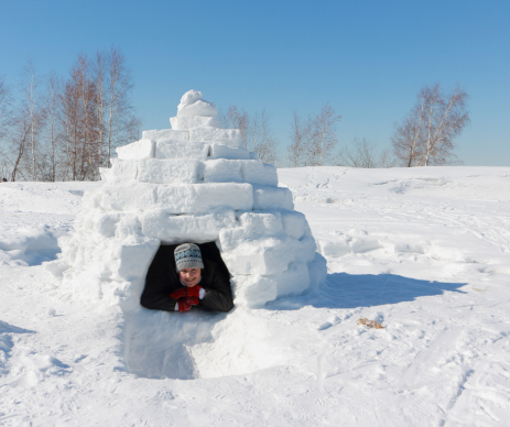 Detail Who Builds Igloos Nomer 2