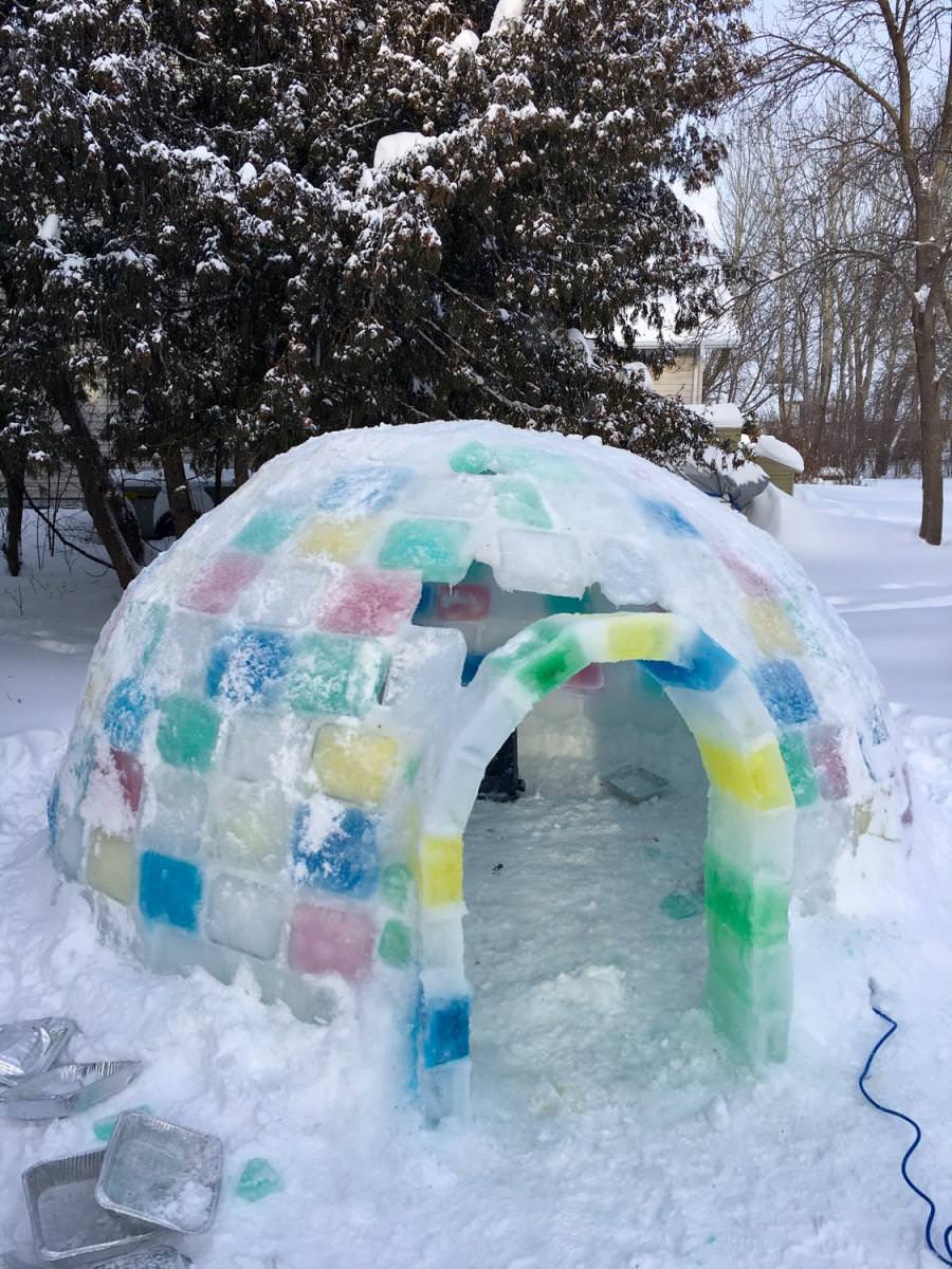 Detail Who Builds Igloos Nomer 30