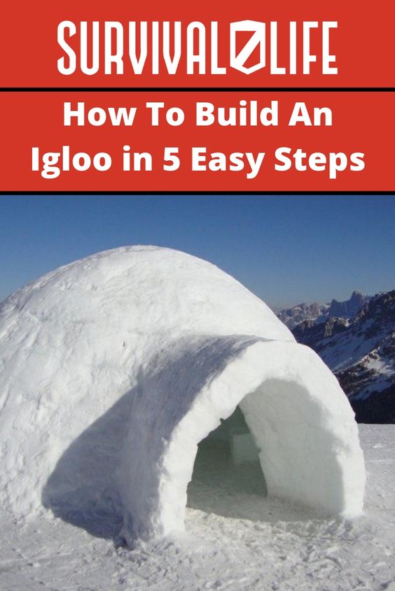 Detail Who Builds Igloos Nomer 31