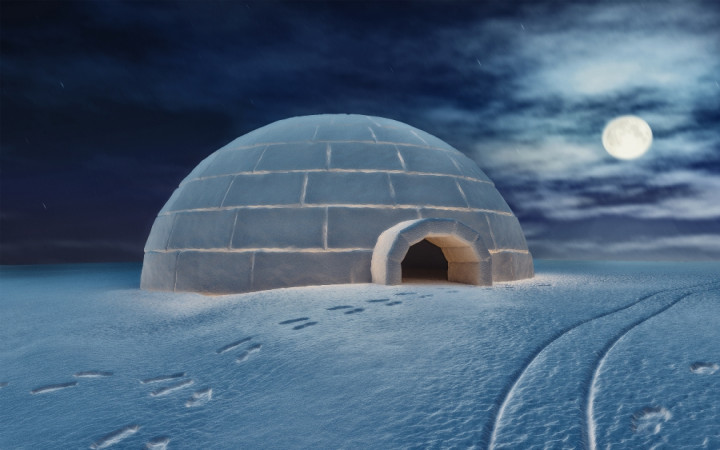 Detail Who Builds Igloos Nomer 38