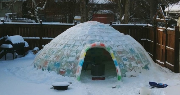 Detail Who Builds Igloos Nomer 54