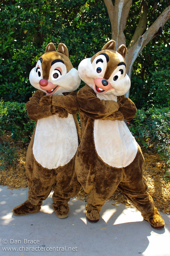 Detail Who Is Chip And Dale Nomer 18