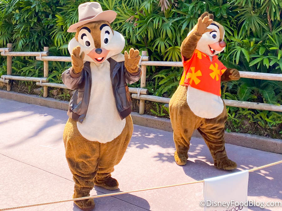 Detail Who Is Chip And Dale Nomer 30