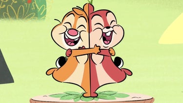 Detail Who Is Chip And Dale Nomer 43