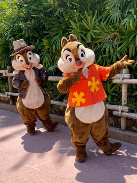 Detail Who Is Chip And Dale Nomer 45